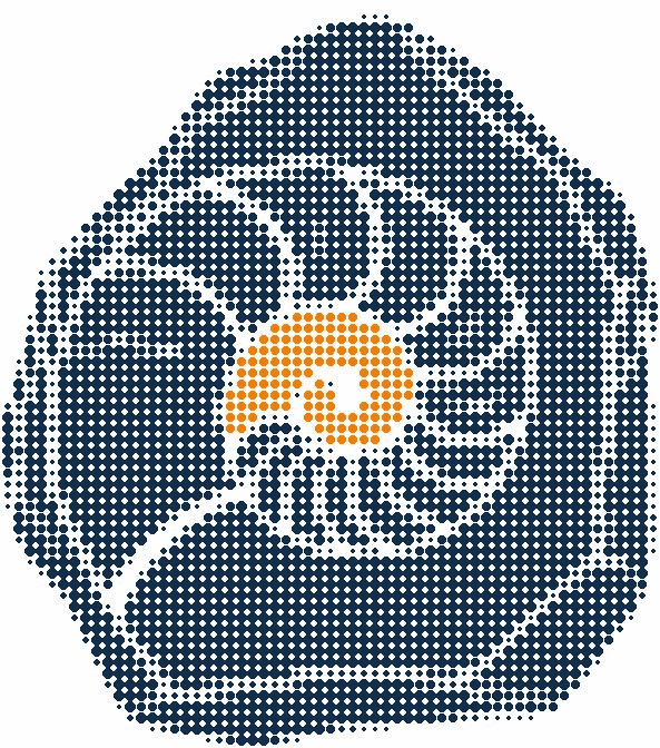 Halftone illustration of an ammonite fossil spiral in rock, its innermost coil in orange
