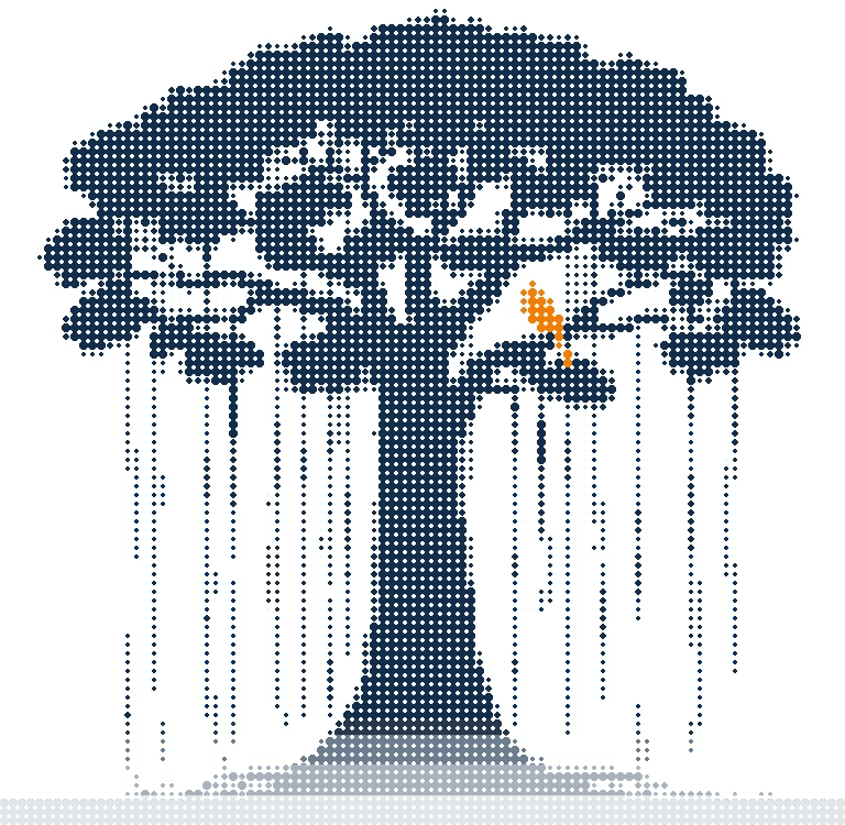 Halftone illustration of a banyan tree whose one wide trunk drops many aerial roots to the ground, with a small orange bird on a branch