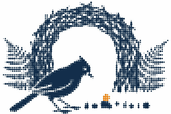 Halftone illustration of a satin bowerbird arranging small objects in a row in front of its bower, one object in orange