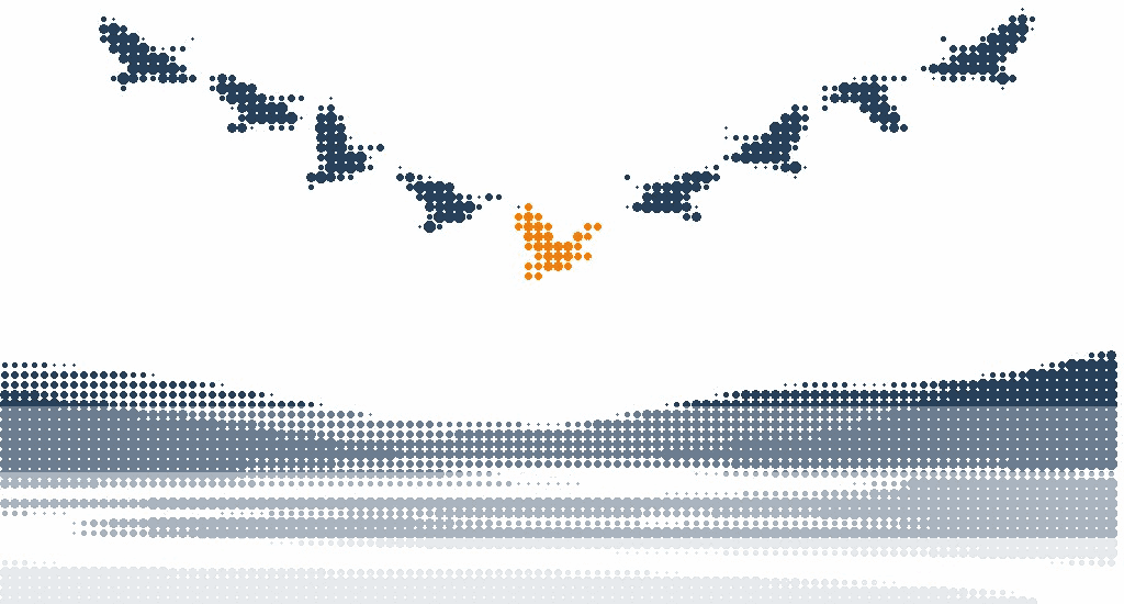 Halftone illustration of geese flying in a V formation over a river valley, the lead goose in orange