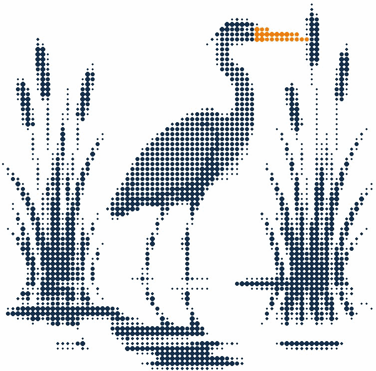 Halftone illustration of a heron standing still in shallow water among reeds, its beak in orange