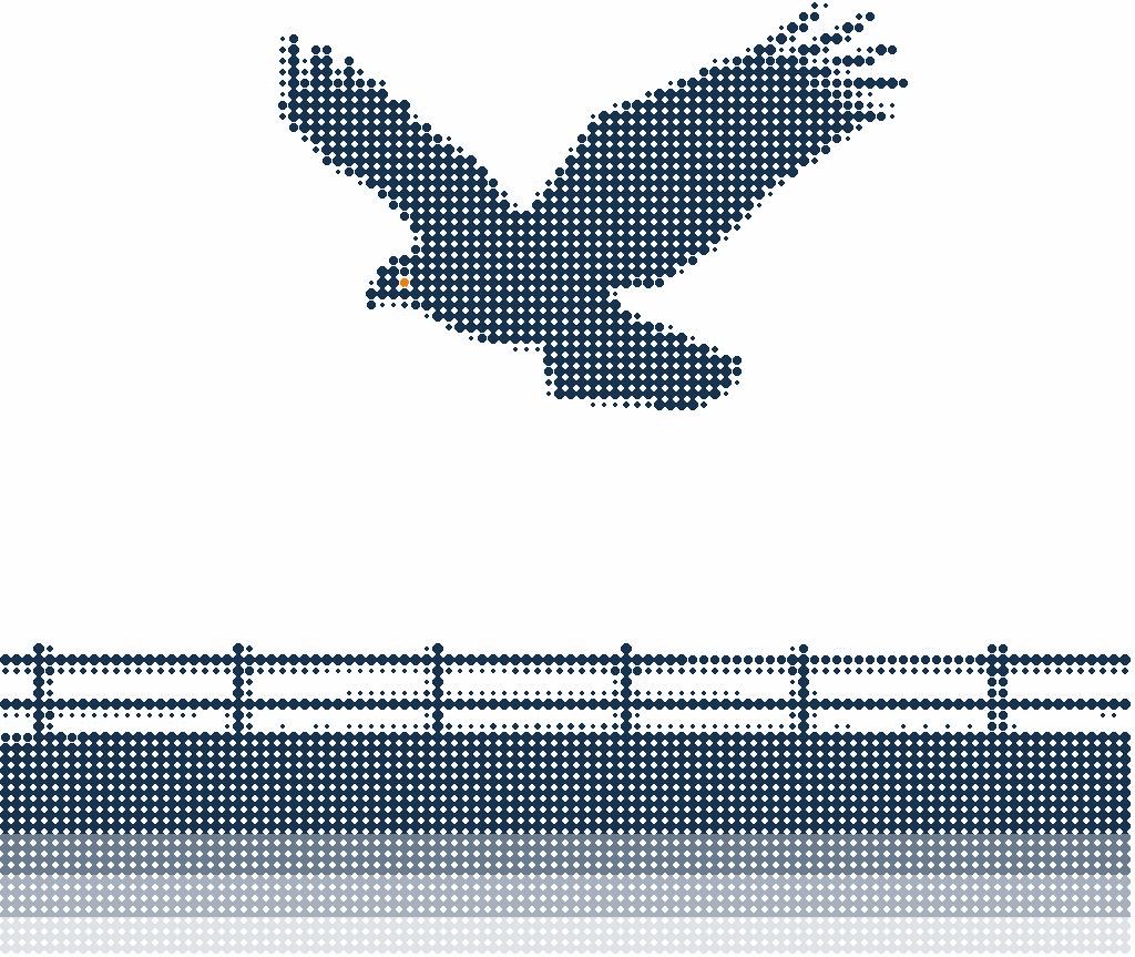Halftone illustration of a hawk hovering with wings spread over a fenced field, its eye in orange
