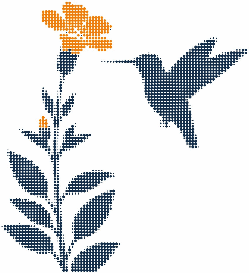 Halftone illustration of a hummingbird hovering beside a tall plant with one open flower in orange