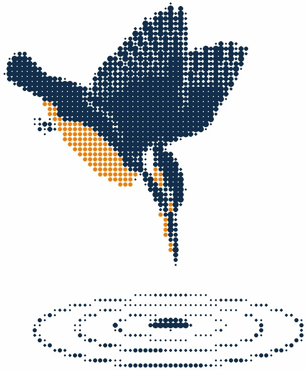 Halftone illustration of a kingfisher diving, wings folded, a ring spreading on the water below