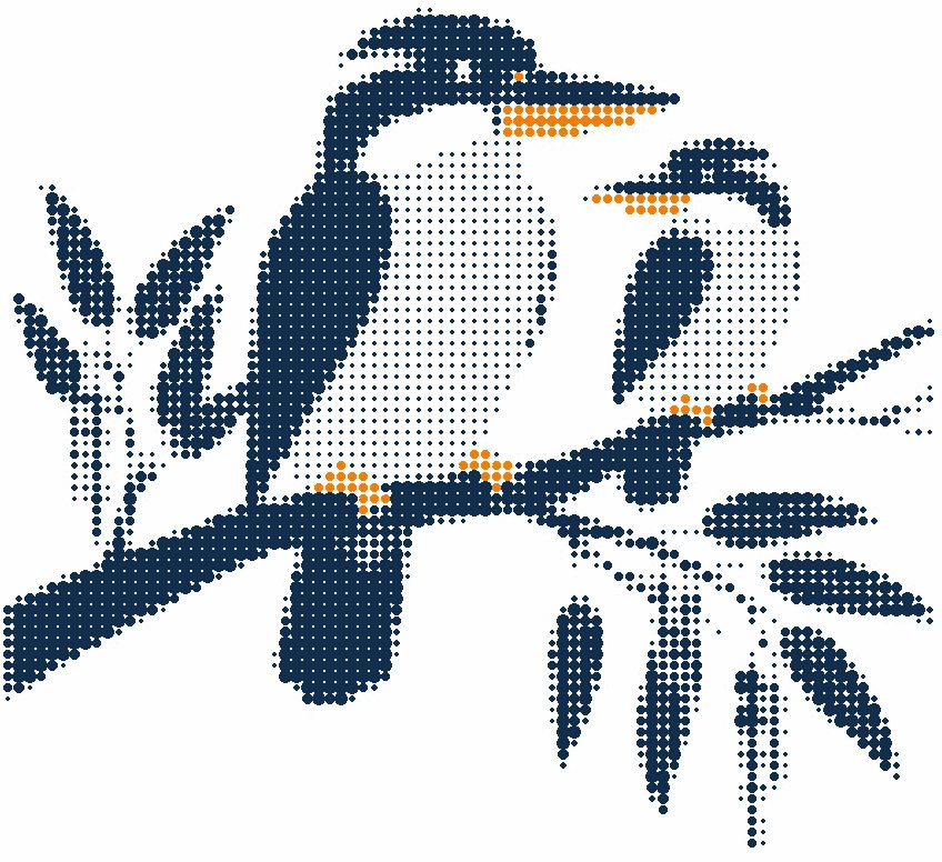 Halftone illustration of two kookaburras side by side on a eucalyptus branch, their beaks in orange
