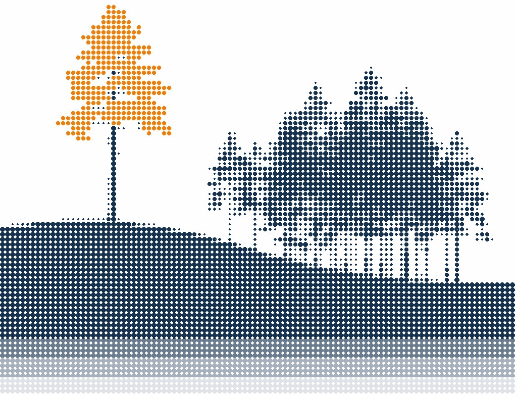 Halftone illustration of one tall pine standing apart from a dense grove on a hill, its crown in orange