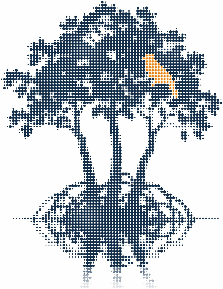 Halftone illustration of a mangrove tree with three trunks rising from one root system in still water, a small orange bird on a branch