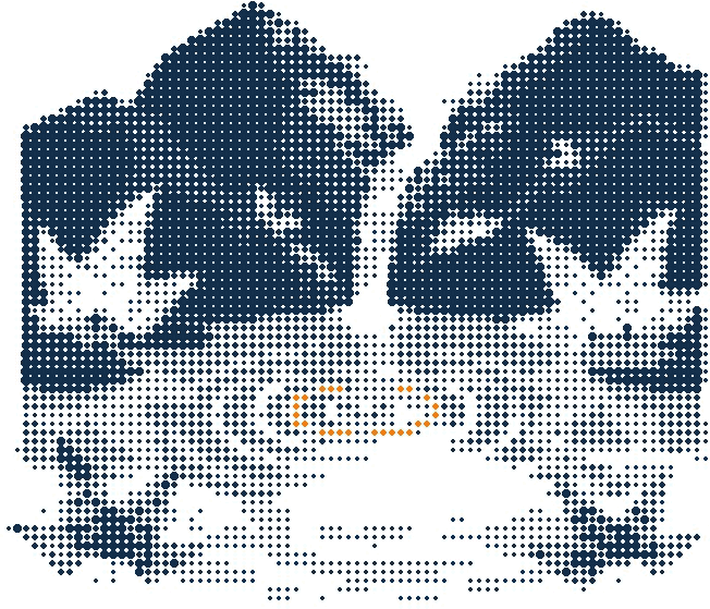 Halftone illustration of a mountain spring running from rock into a clear pool, the first ripple in orange
