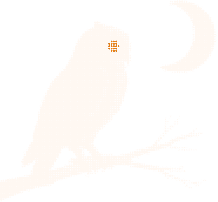 Light halftone illustration of an owl on a bare branch at night beside a crescent moon, its eyes in orange