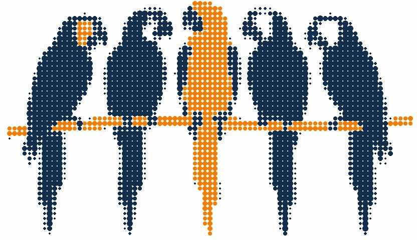Halftone illustration of five parrots talking on a branch, one in orange