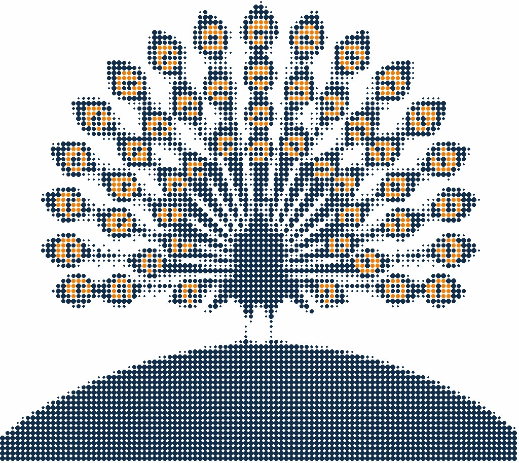 Halftone illustration of a peacock fanning its tail, the eye spots in orange