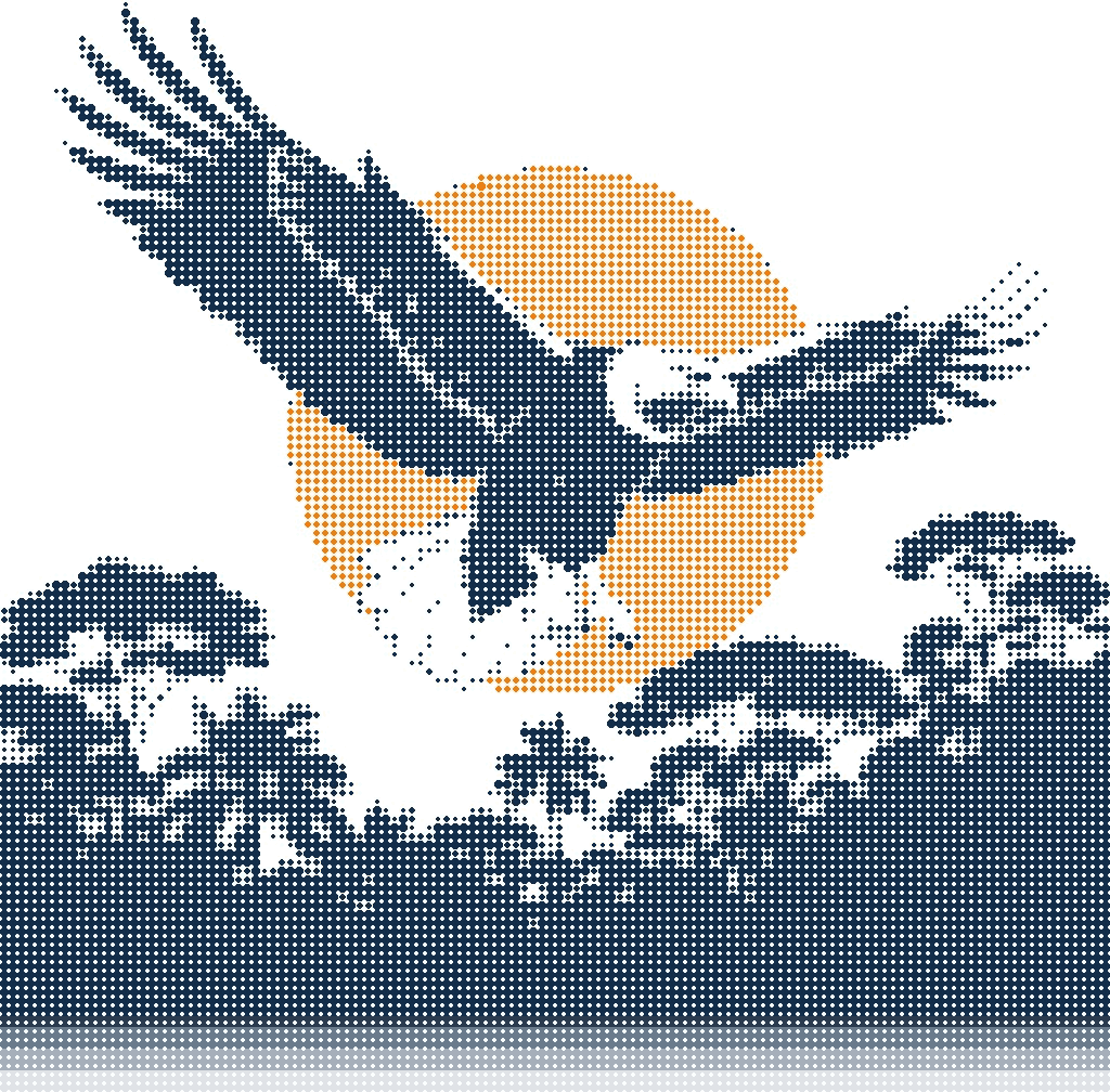 Halftone illustration of a Philippine eagle in flight above a forest canopy, wings spread, an orange sun behind it