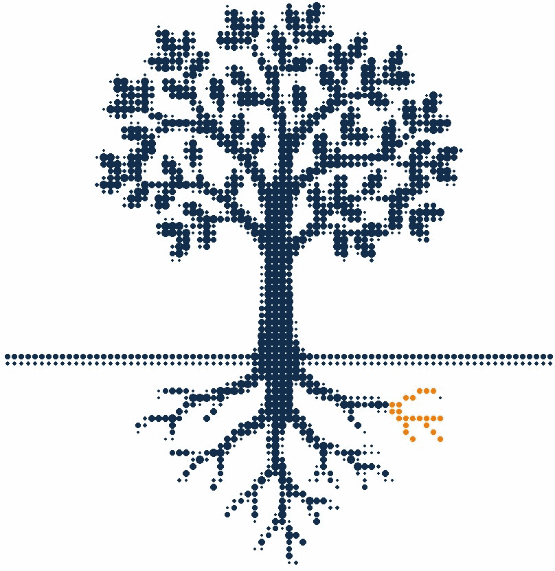 Halftone illustration of a tree in cross-section with its roots spreading below the soil line, one root tip in orange