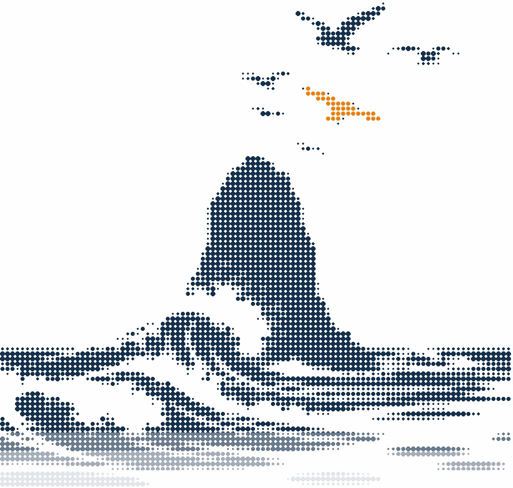 Halftone illustration of a lone sea stack standing in breaking surf with gulls overhead, one gull in orange