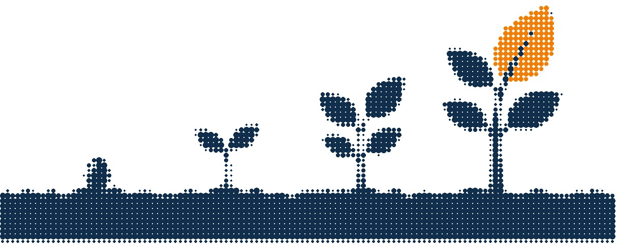 Halftone illustration of a seed growing into a sapling in four stages along a line of soil, the last leaf in orange