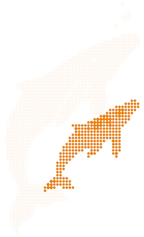Halftone illustration of a humpback whale swimming upward with its calf close beside it, the calf in orange